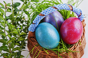 Colorful Easter eggs in a small Easter basket on a white background