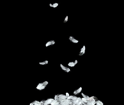 Abstract white feathers falling in the air. © Siwakorn1933