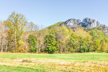 View of Seneca Rocks from visitor center during autumn, golden yellow foliage on trees in forest, lawn meadow grass