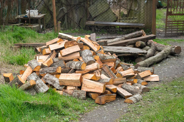 Preparation of firewood for the winter. firewood background, Stacks of firewood in the forest. Pile of firewood