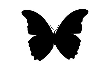 Sign or symbol, and silhouette of a butterfly.