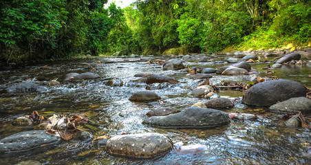 Naklejka na ściany i meble beautiful river in venezuela