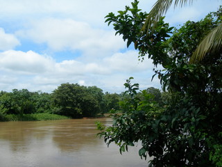 SELVA DEL DARIEM (PANAMÁ)