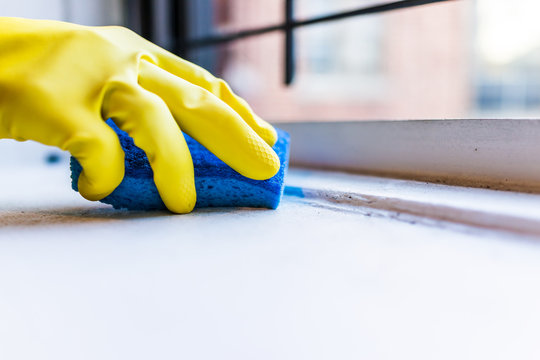 Yellow Gloves Hand Cleaning Dust, Dirt On Windowsill With Blue Sponge By Window In Urban Apartment In New York City NYC