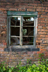 An old derelict, rotted green window frame against a red brick wall, with overgrown plants and brambles.