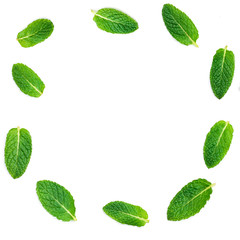 Fresh mint leaves  set  isolated on white background in circle shape close up.