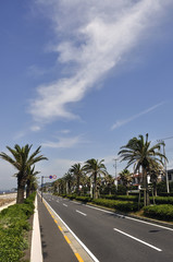 よこすか海岸通り