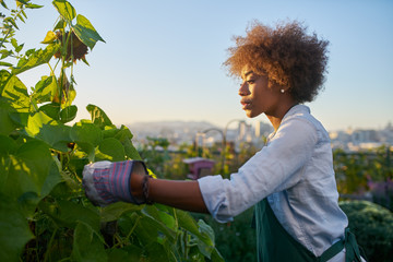 african american woman tending to crops in communal urban garden