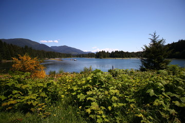 Fototapeta na wymiar lac sur l'île de Vancouver
