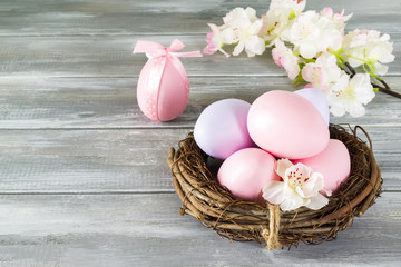 Perfect colorful handmade easter eggs in a nest with spring flowers on a wooden gray background. Happy Easter
