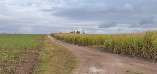 Fototapeta na wymiar Dirt Road - Rural