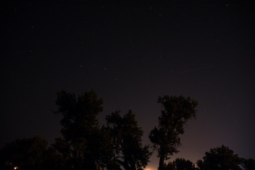 Naklejka na ściany i meble Sky full of Stars with tree Sihouette