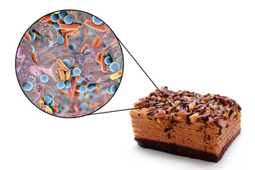 Food borne infections, medical concept, 3D illustration showing cake as a common source of food infections and close-up view of bacteria contaminating food