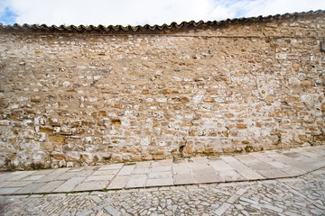 Pared