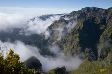 Nature in  Madeira