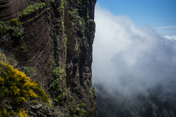 Nature in  Madeira