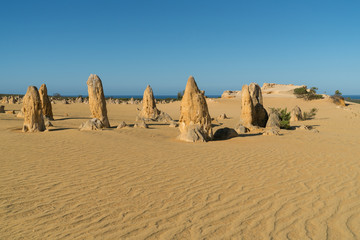 Pinnacles Desert in early morning light, Nambung National Park, Western Australia