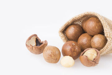 Macadamia nuts - Macadamia integrifolia