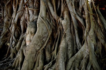 Ayutthaya, Thailand