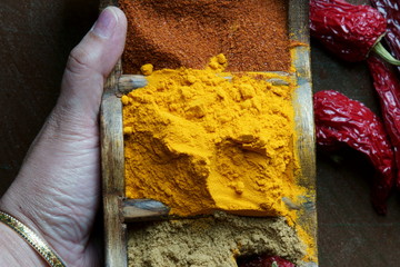 Indian spices of Turmeric, coriander powder and chili powder
