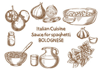 Italian cuisine. Sause for spahetti bolognese ingredients vector sketch.