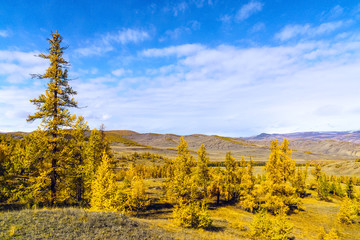 Fototapeta premium beautiful mountain landscape of Altai mountain Republic, late autumn, Russia.