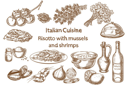 Italian cuisine. risotto with mussels and shrimps ingredients vector sketch.