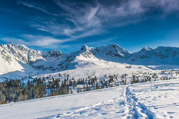 Tatra Mountains - Hala Gasienicowa, winter