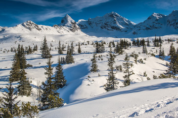 Fototapeta premium Tatra Mountains - Hala Gasienicowa, winter