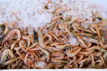 The raw shrimps Parapenaeus Longirostris background.