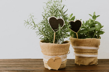 Fresh herbs in rustic pots over wooden table