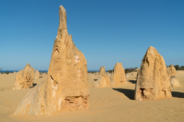Pinnacles Desert in early morning light, Nambung National Park, Western Australia