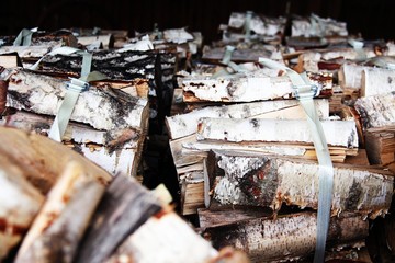 altes anwesen birken-brennholz I