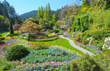 Lawn and Flower beds in the Spring with Lush colors, Victoria, Canada 