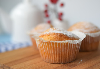 freshly baked cupcake sprinkled with powdered sugar