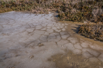 Les étangs des Salins du Giraud en Camargue