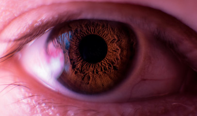pupil of the mans eye