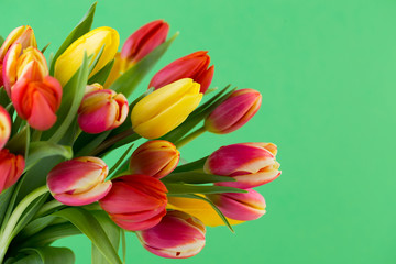 A colorful spring greetings card with tulips for Easter, Mother's Day.