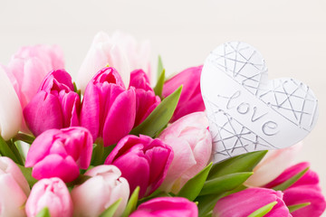 Obraz premium Pink tulip on the white background. Easter background