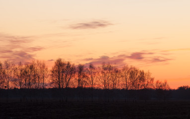 the sky after the sunset,