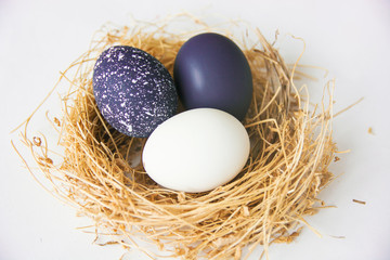 black and white colored Easter eggs in nest on wooden background, selective focus image. Happy Easter card
