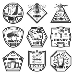 Set of vintage honey emblems, labels, badges, logotypes and design elements. Apiary logo template