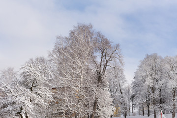 Photo of snowy landscape with blue sky and road in winter