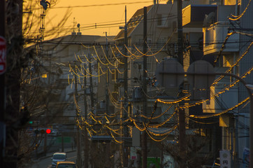 日本の風景・夕陽が照らす電線