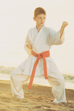 boy exercising tae kwon do
