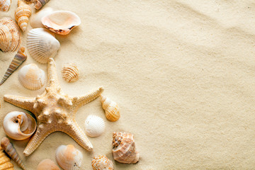 Fototapeta na wymiar seashells and starfish on sandy beach as background