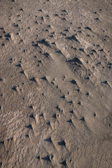La plage de Piémanson en Camargue