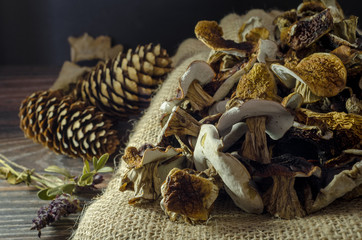 dried mushrooms boletus vegeterian food canvas pine cones
