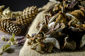 dried mushrooms boletus vegeterian food canvas pine cones