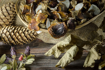 dried mushrooms boletus vegeterian food canvas pine cones